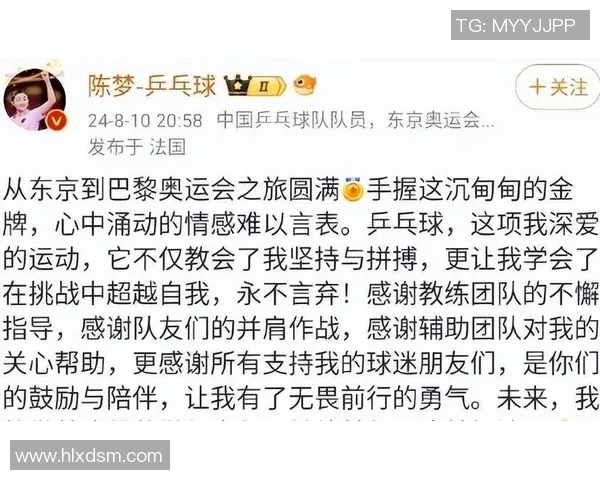 安联的星空与未竟的梦：拜仁拥趸眼中的欧冠十年“意难平”全纪实